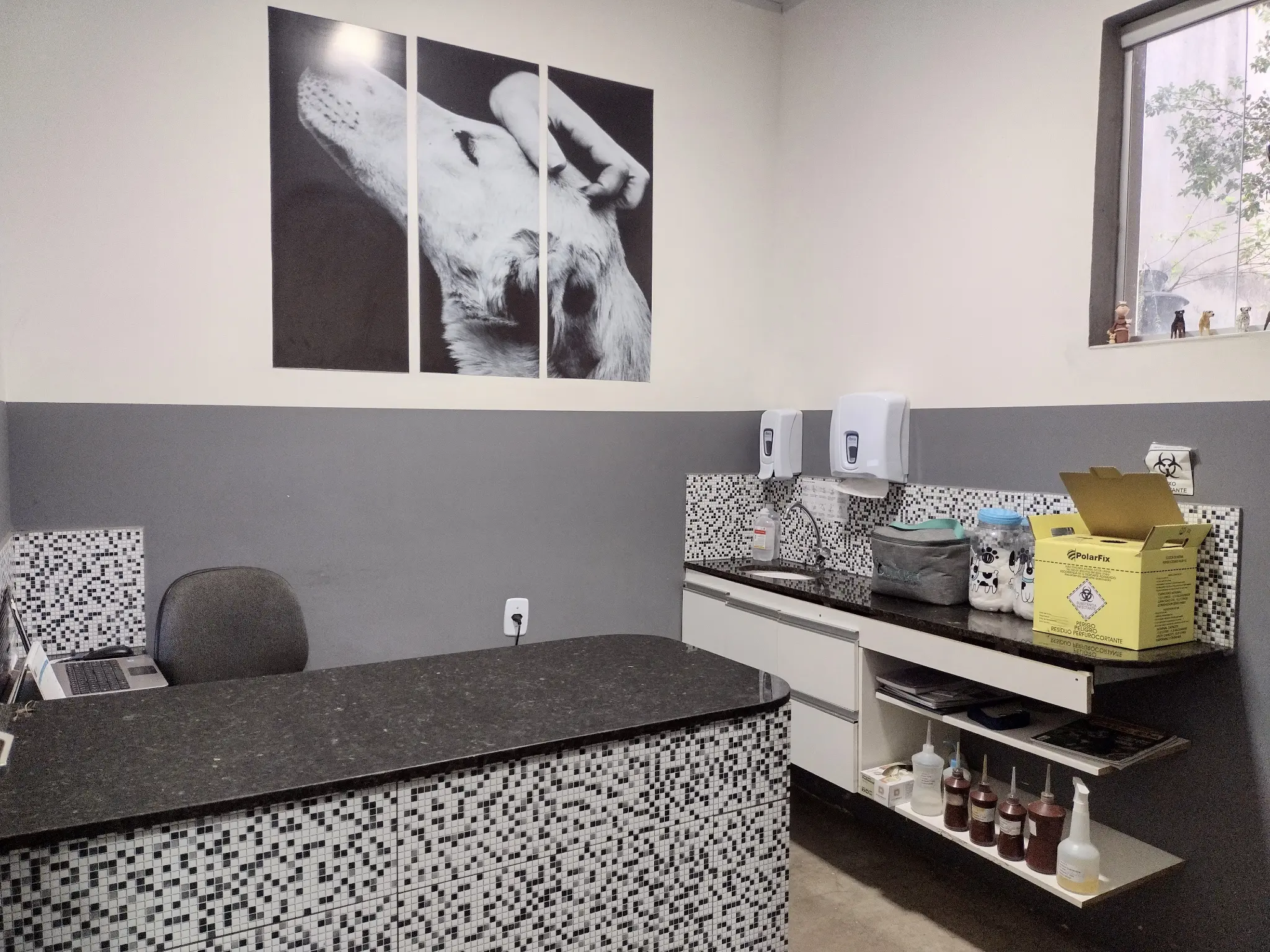 Consultório veterinário com equipamentos de diagnóstico