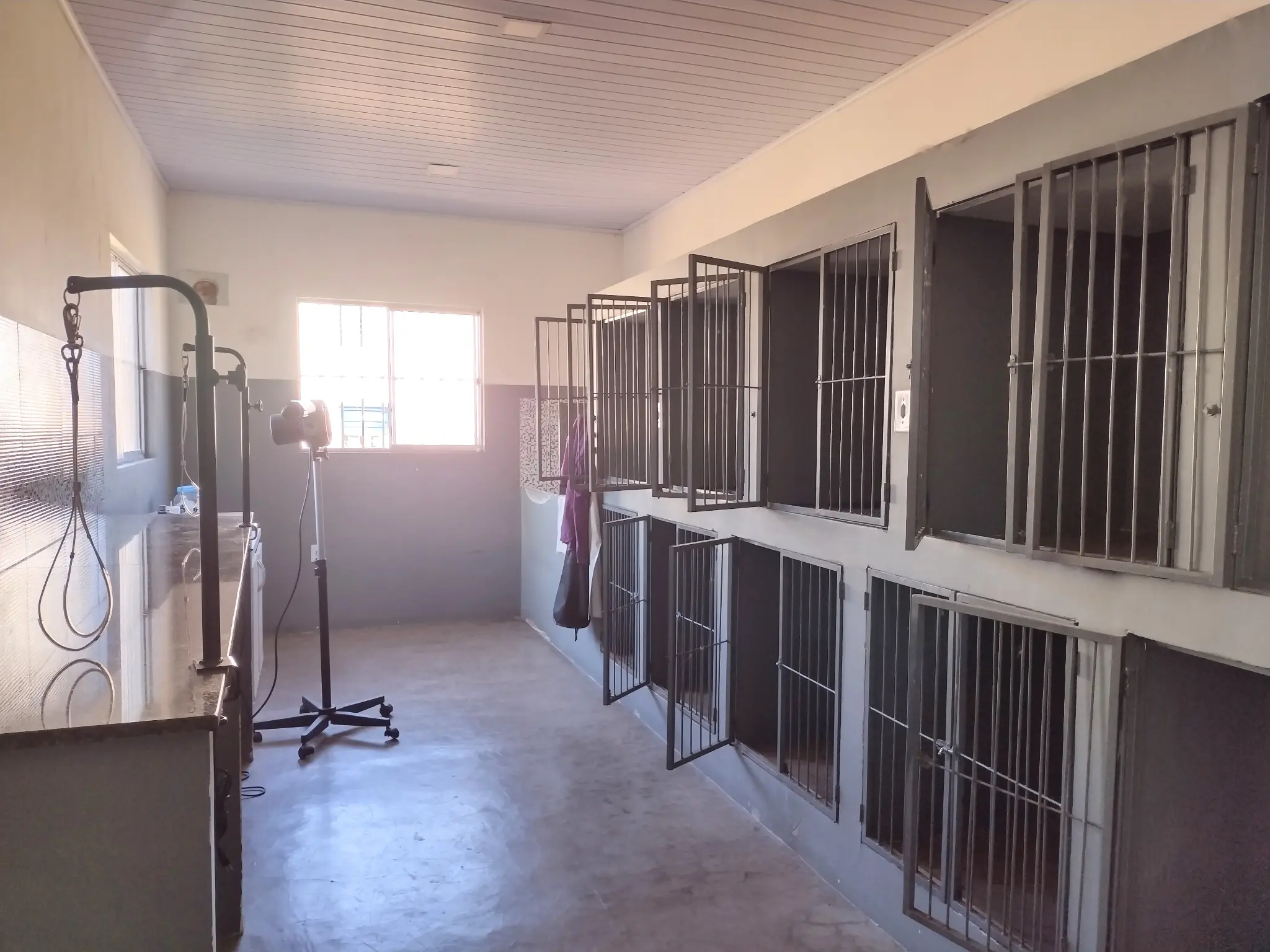 Internação com acomodações confortáveis